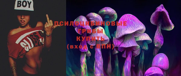 винт Беломорск