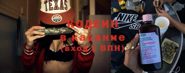 гидра Пересвет