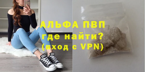 хмурый Пестово