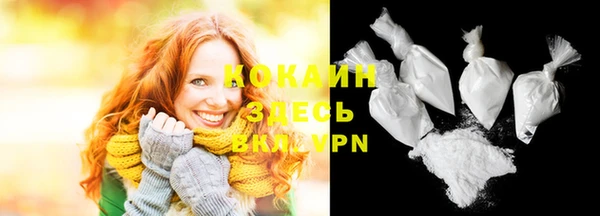 хмурый Белокуриха