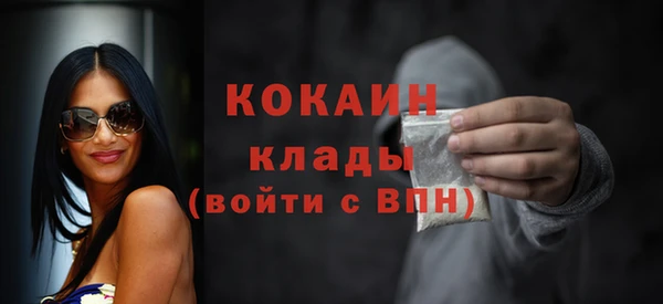 хмурый Белокуриха