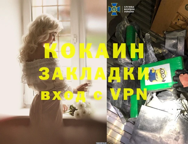 хмурый Белокуриха