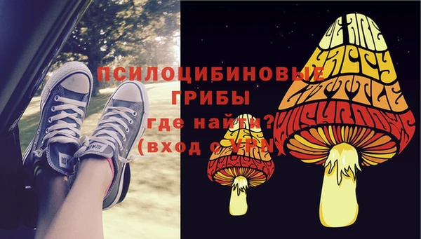 гидра Пересвет
