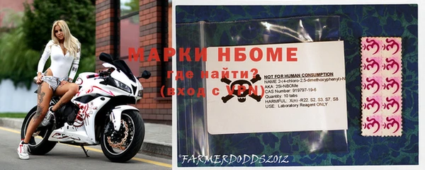 хмурый Пестово