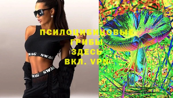 хмурый Пестово
