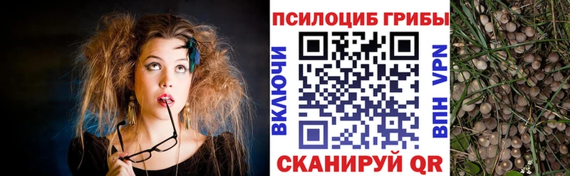 Псилоцибиновые грибы мицелий  купить наркоту  Нахабино 