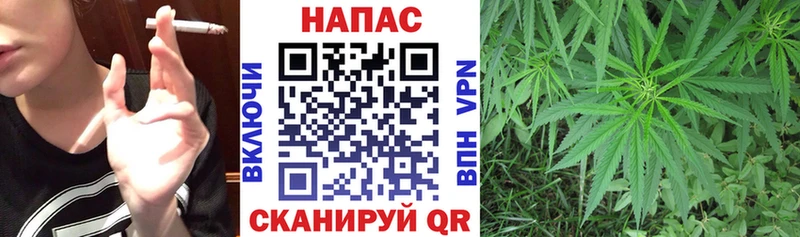 Каннабис Amnesia  Нахабино 